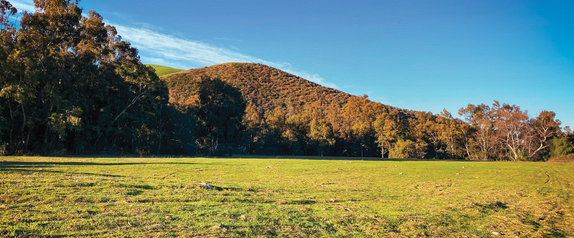 hills at site of enso verde