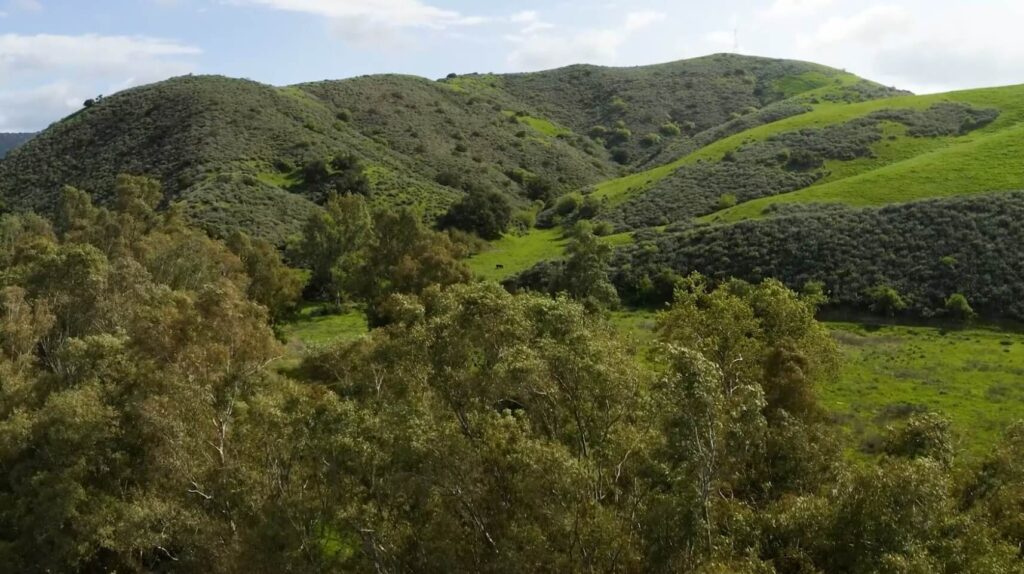 Life in Simi Valley